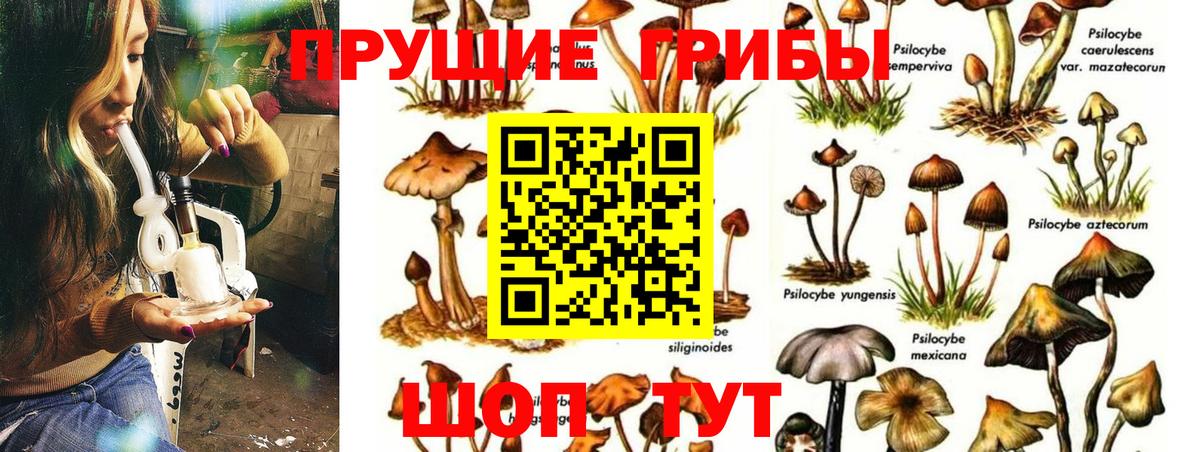 Псилоцибиновые грибы прущие грибы  Галлюциногенные грибы Psilocybe  Вход с VPN  Мариинск 