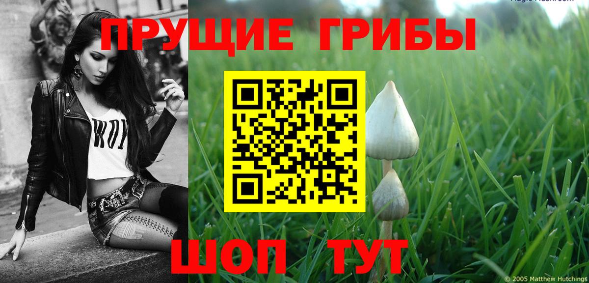 Галлюциногенные грибы GOLDEN TEACHER Мариинск